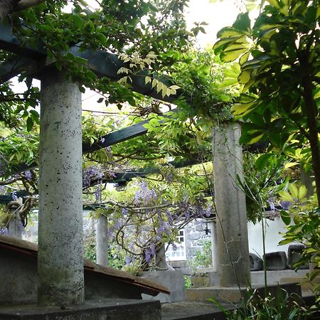 Quinta Das Buganvilias Castelo Branco  Exterior photo
