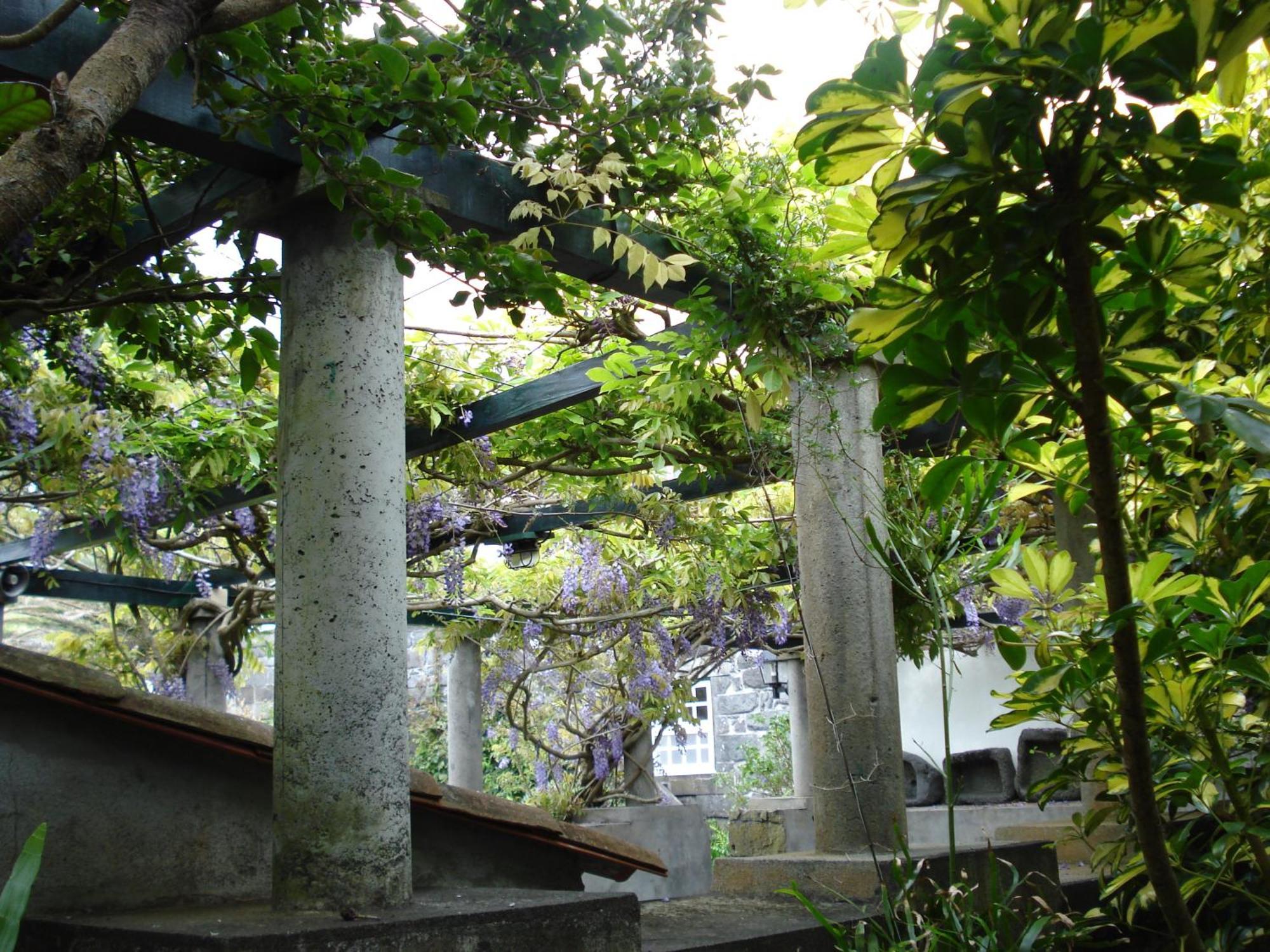 Quinta Das Buganvilias Castelo Branco  Exterior photo